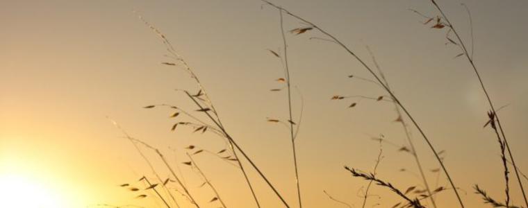 Прогноза за времето в сряда