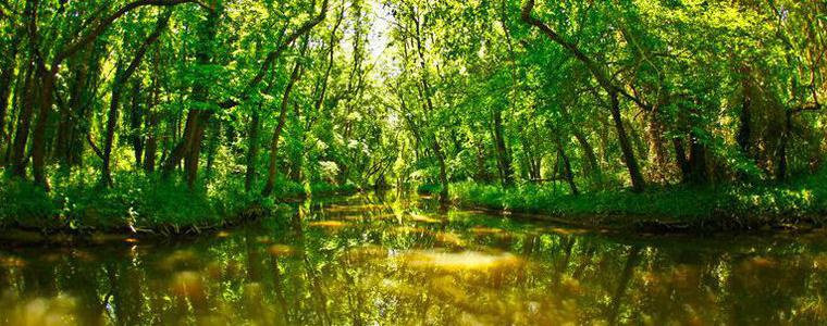 РИОСВ – Варна представя проект за опазване на крайречните смесени гори в резерват „Балтата“