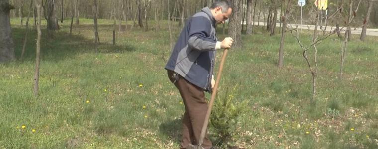 Седмицата на гората в ДГС-Добрич започва днес със залесяване в „Дъбовете”