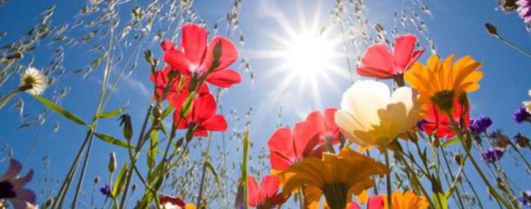 Прогноза за времето в петък