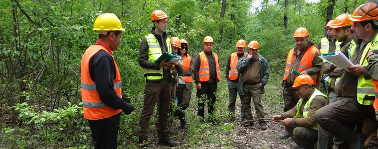 Съвещание по стопанисване и опазване на горите се проведе в ДЛС-Тервел
