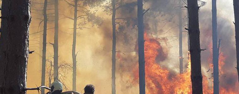 Инструктират кметове и земеделци за работа през пожароопасния сезон