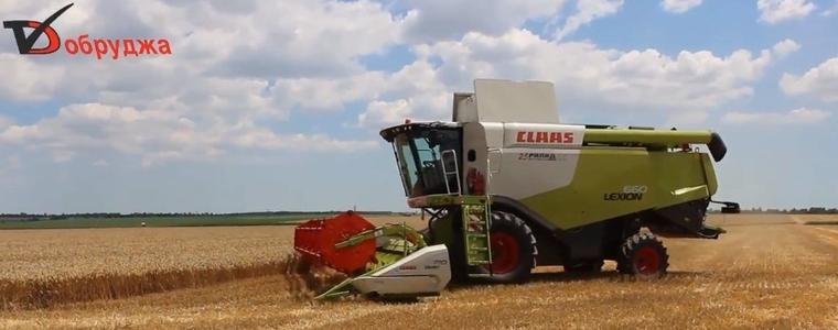 В Добруджа започна жътвата на пшеницата, 535 кг от дка  добиват за сега