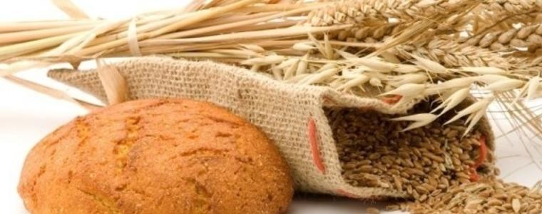 Отново Празник на хляба, житото и Добруджа в Спасово