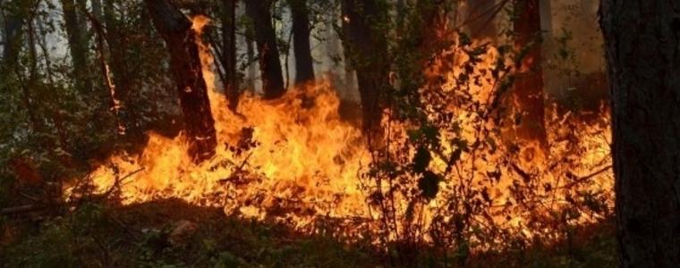 Червен код за област Добрич за опасност от пожари