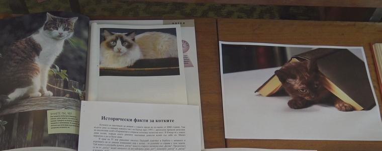 Котката като литературен герой и вдъхновение на велики писатели показва изложба в НЧ „Йордан Йовков“ (ВИДЕО)