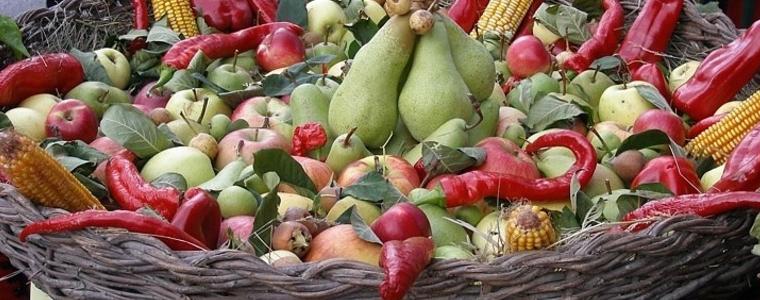 Четвърти Празник на плодородието „Кардамска есен” на 14 септември
