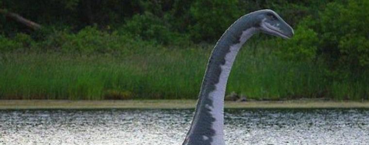 Чудовището от Лох Нес може да е гигантска змиорка