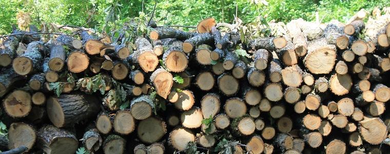 СИДП: 20 970 кубика дърва са доставени на желаещите в областта