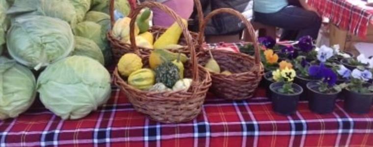 Есенни зеленчуци, декоративни тиквички и веган сладкиши на Фермерския пазар