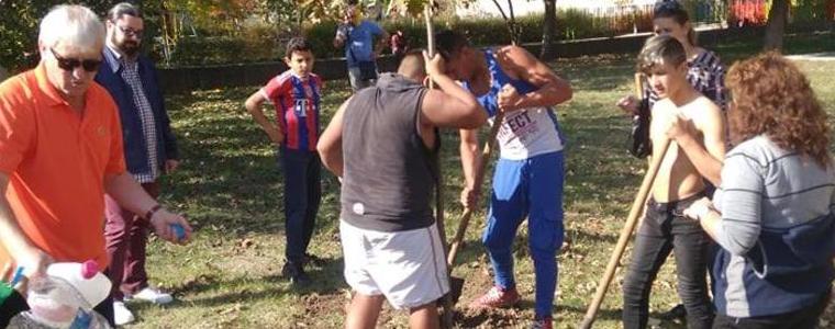 Засадиха дръвчета в социални услуги в Добрич