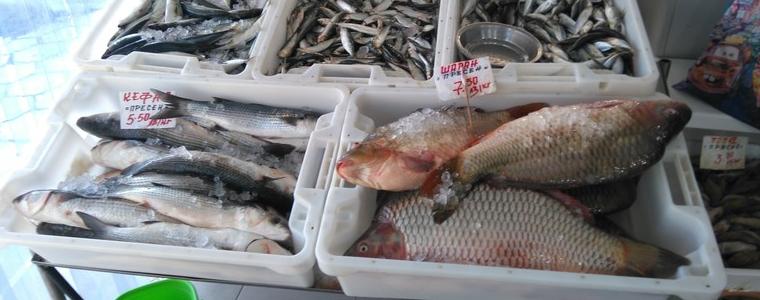 Без повишение на цените на рибата за Никулден