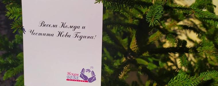 И в Добрич ще се предлагат живи елхи в рамките на благотворителната кампания „Посади надежда”