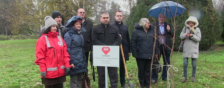 С признателност към донорите засадиха дърво в градския парк на Добрич (ВИДЕО)