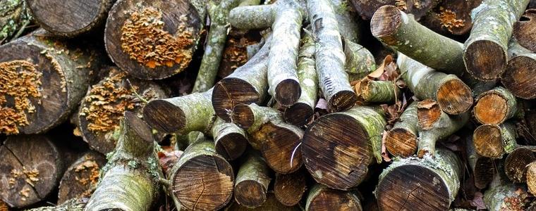 12 кубика незаконно добити дърва за огрев установиха в три къщи в село Спасово