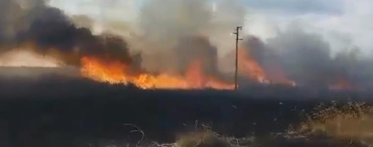 60 дка тръстика е изгоряла при пожара в Дуранкулашкото езеро