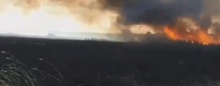 Окръжната прокуратура разследва пожара в Дуранкулашкото езеро