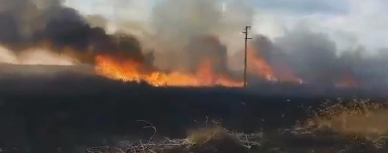 Пожар вилня в района на Дуранкулашкото езеро, потушен е 