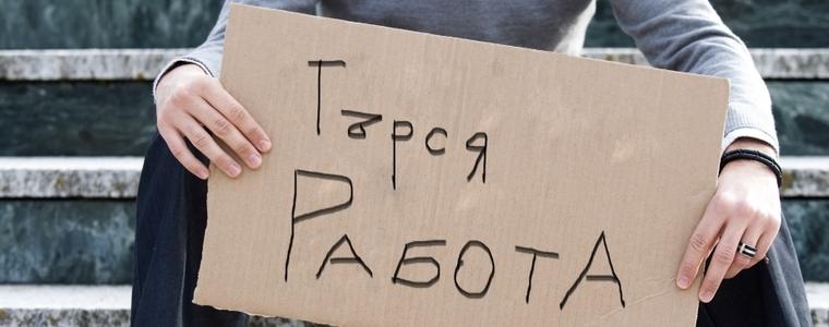 През 2019 г. безработицата в област Добрич се понижила до 5% 
