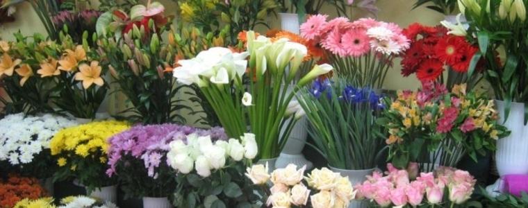И тази година ще има базар за цветя в Добрич в навечерието на Осми март