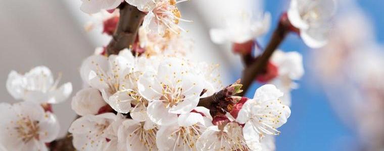 Облачно с понижени температури в неделя