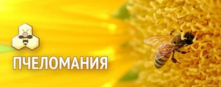 Отлагат провеждането на изложението "Пчеломания" в Добрич