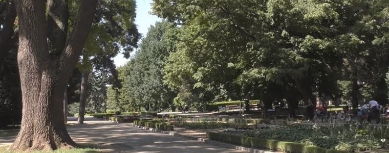 Кметът на Добрич издаде заповед относно достъпа до градския парк