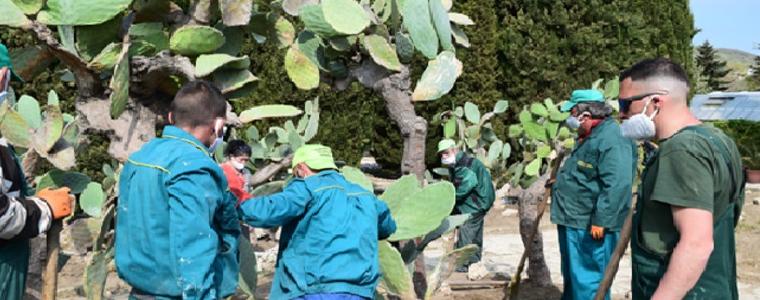Колекцията от кактуси и сукуленти отново е на открито в Ботаническата градина