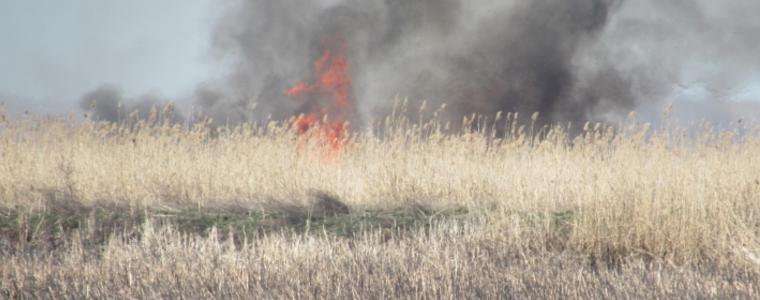Определиха пожароопасния сезон за 2020 година в община Добрич