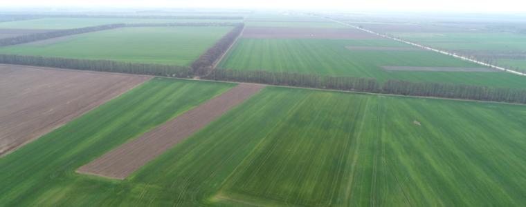 Проф.Ценов: Тревогата за реколтата е много голяма (ВИДЕО)