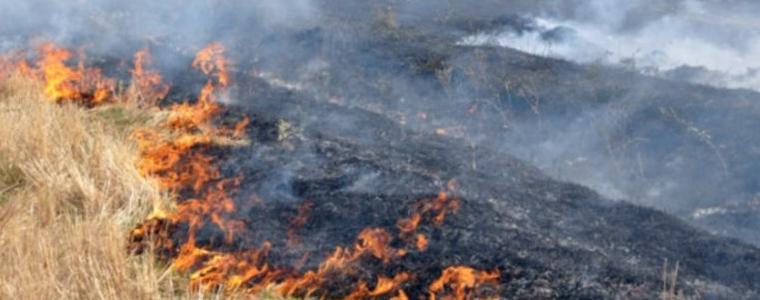 Пълна забрана за палене в горски, полски и защитени територии в община Крушари