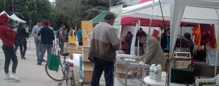 Днес е последният ден от изложението "Пчеломания"