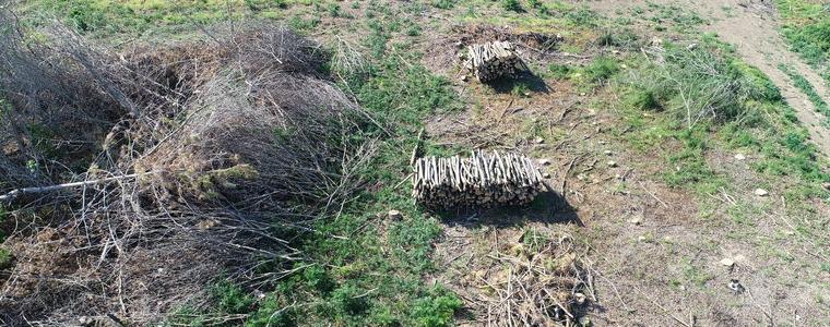 „Природозащитник“  е собственик на унищожената колония корморани край Дуранкулашкото езеро (ВИДЕО)