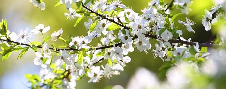 Прогноза за времето в събота, 9 май