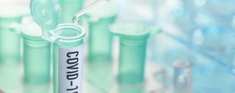 Тестваха успешно ваксина срещу COVID-19 върху маймуни