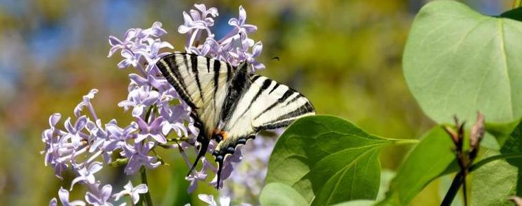 Времето на 10 май, неделя