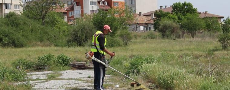 Засилена дейност за косене, почистване и дезинфекция на тревните площи в Добрич (ВИДЕО)