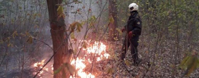 Засушаването и високите температури повишават риска от горски пожари, напомнят от СИДП 