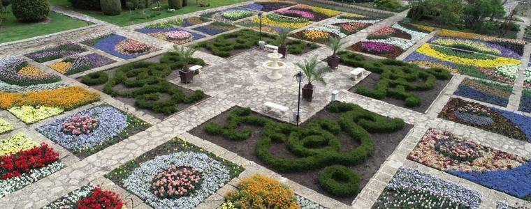 Цвете за всеки посетител на Ботаническата градина по повод 65-годишнината й