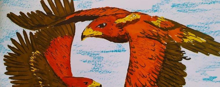 Книжка "Приказки от гнездото" ще запознава децата с малкия креслив орел