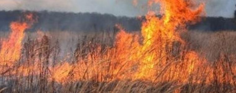 Пожар изпепели 100 декара пшеница край тошевско село