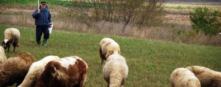 Изтича срокът за заявления за подпомагане по схемата "де минимис"