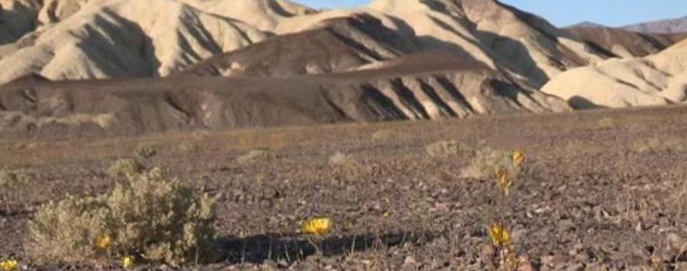 Най-високата температура на Земята беше регистрирана в Долината на смъртта в САЩ