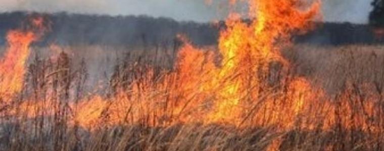 Повишен риск от пожари е в сила за област Добрич