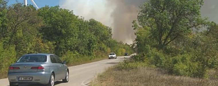 За пожар край Българево съобщават природозащитници