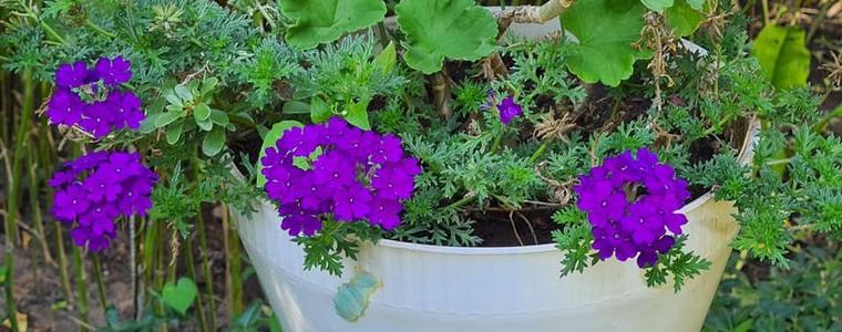 Продължават слънчевите дни през септември