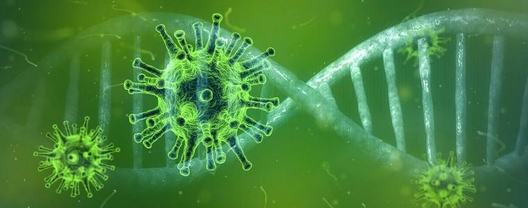 Трима новорегистрирани с коронавирус в област Добрич