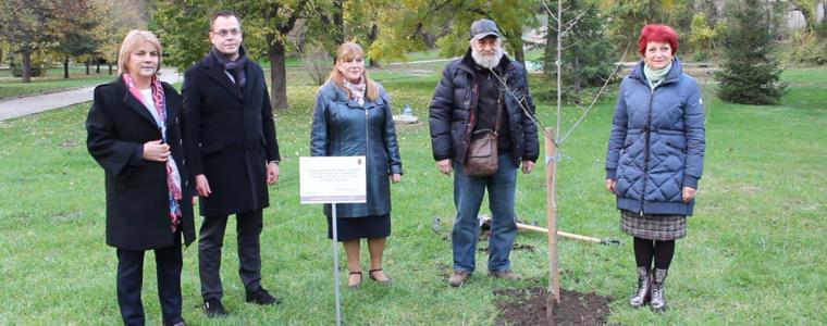 Носителят на НЛН „Йордан Йовков” Деян Енев засади дръвче в памет на твореца (ВИДЕО)