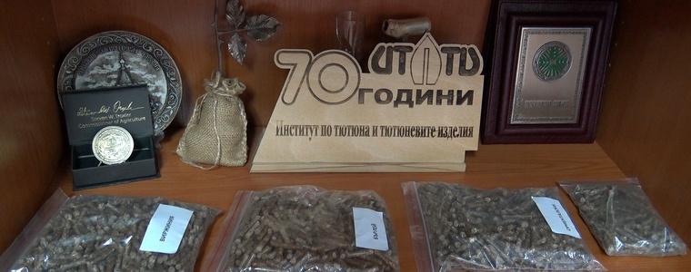 Пелети от тютюневи стъбла създадоха българските учени (ВИДЕО)