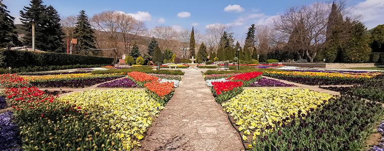 Настъпи пикът на цъфтежа на пролетните цветя в Ботаническата градина в Балчик